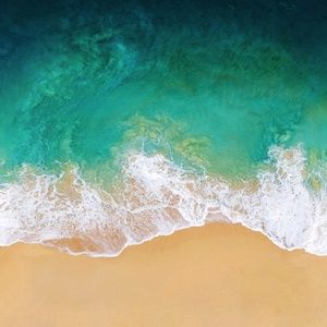 Meet your Posher, Frederick